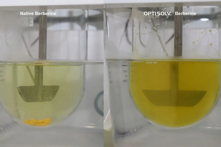 Comparing Optisolv Berberine with native berberine